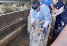 La reproduction est une affaire d'anticipation et de rigueur technique.