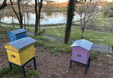 Un rucher communal a été installé à Montrollet en 2020.