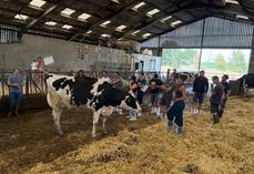 Les participants ont pu admirer les superbes mamelles des vaches du Gaec Bords de Moine.