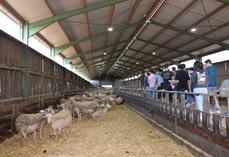 Les élèves du MFR-CFA La Grange découvrent les lumières installées dans le bâtiment pour le photopériodisme.
