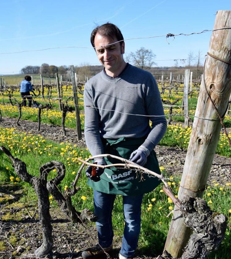 Une quinzaine de personnes est venue poser des Rak dans une parcelle du Domaine Le Maine-Giraud.