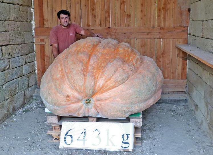 Fabrice Boudyo a produit ce potiron d’un poids record de 643 kg.
