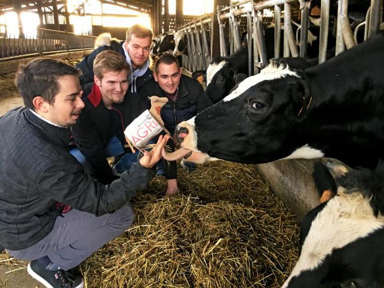 Samuel Bouteiller (Deux-Sèvres), Quentin Naudon (Indre), Killian Rivault (Vienne) et Romain Tixier (Indre) se démènent 
pour donner envie à des sponsors de les accompagner de leur aventure. Maroc’In, leur mascotte, relaiera sur les réseaux
sociaux leur périple.