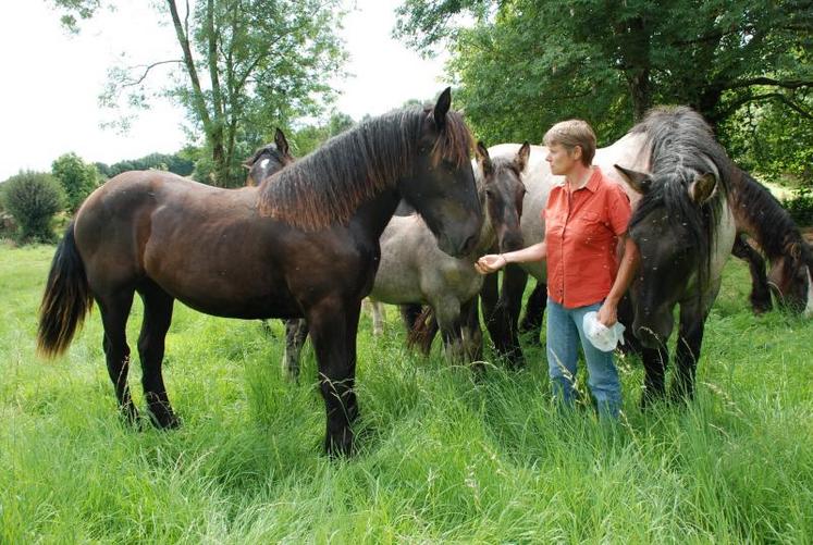 « Le Marais Poitevin tel qu’on le connaît aujourd’hui doit son existence aux nombreuses heures de travail des traits poitevins », explique Karine Monnet.