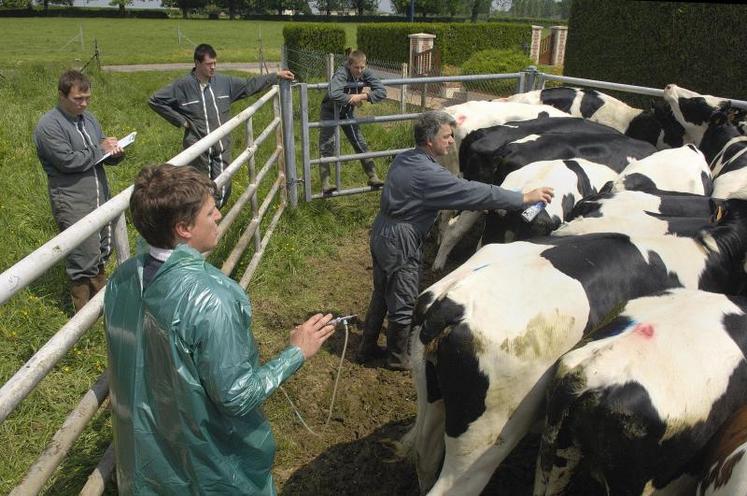 Pour éradiquer la FCO à sérotypes 1 et 8 en France, le taux de couverture vaccinal doit rester supérieur à 80% durant la campagne 2010-2011.