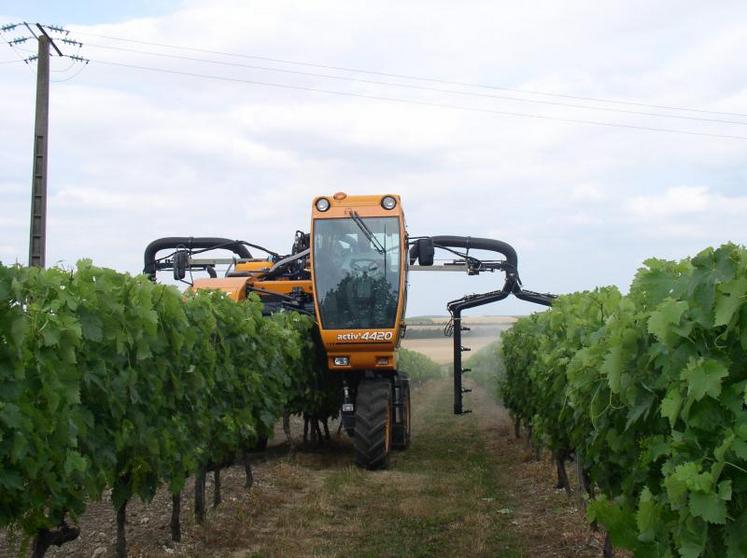 Traitement sur vignes.