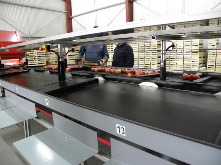 Pour rappel, le DUERP est obligatoire depuis 2001, pour toute entreprise qui emploie du personnel, y compris les apprentis ou les alternants. 