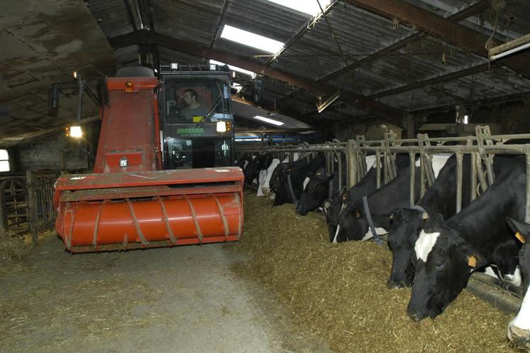 Le logiciel Optim’AI calcule une ration pour les vaches laitières à l’auge en optimisant l’économie et l’autonomie protéique. 