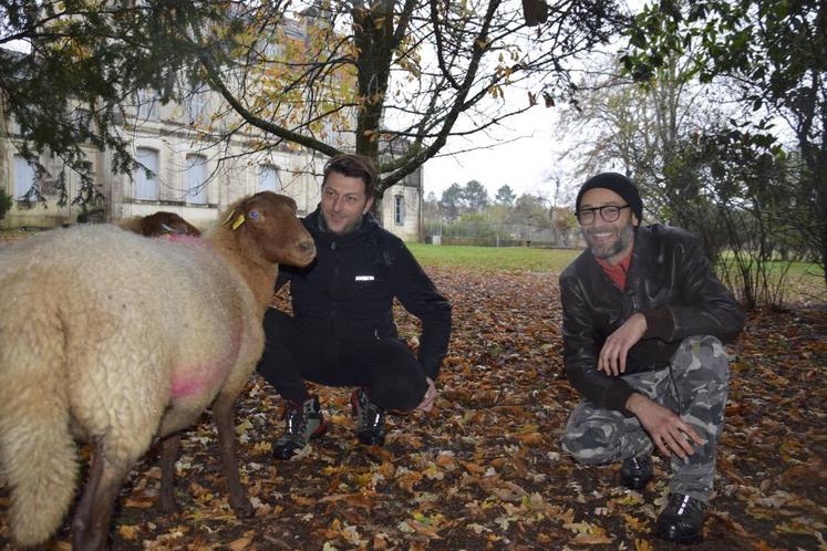 Fabrice Moiteaux et Mathieu Jobit avec leurs brebis.