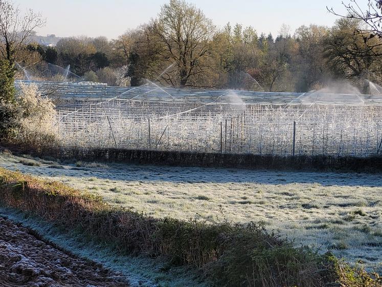 Deux-Sèvres, arboriculture, gelée, aspersion, EARL Desnoue