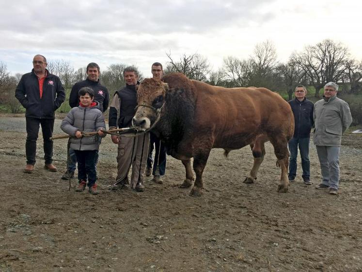 Étienne Passebon et son fils Mathéo présenteront Léopard au Salon à Paris. Cette année, la race parthenaise sera présente avec le concours des animaux de boucherie lundi 25 et le concours génétique vendredi 1er mars.