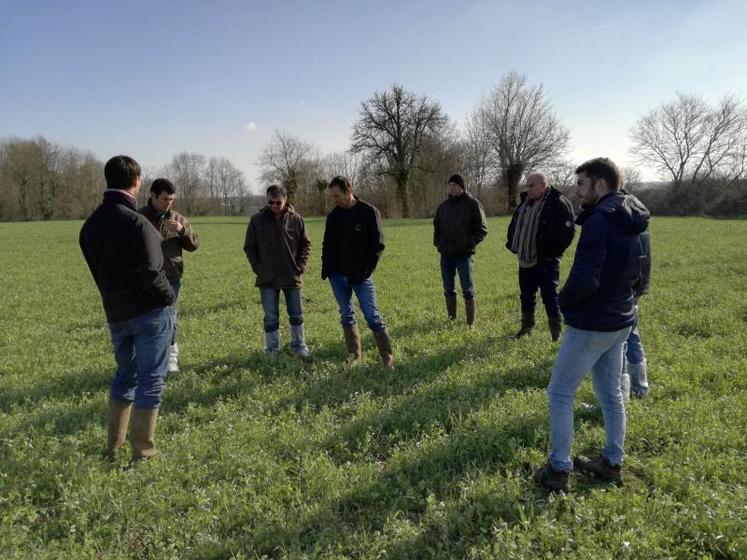 Une quinzaine de personnes est venue échanger avec Mathieu Levrault. Cette rencontre organisée par la société Vertal a mis en lumière le travail mené ces trois dernières années et visant à mettre en dynamique les productions de l’exploitation.