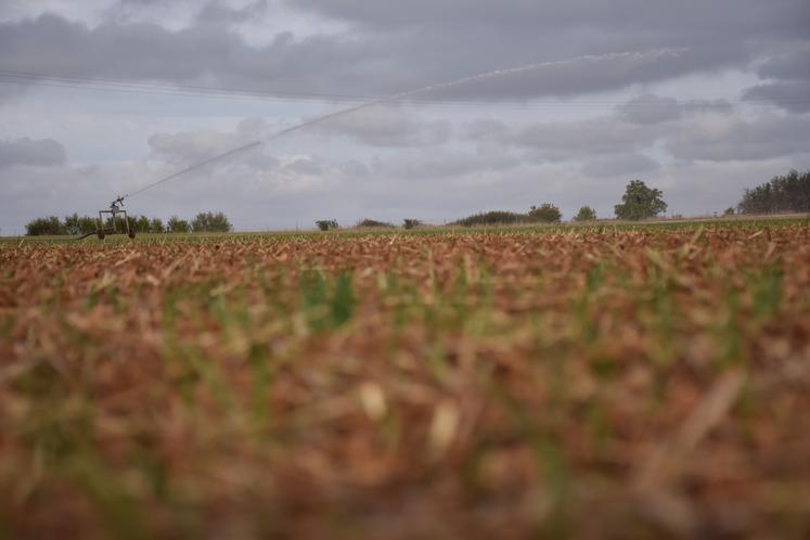 Irrigation, enrouleur, eau, Nouvelle-Aquitaine, Deux-Sèvres