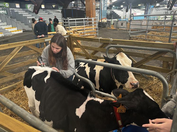 Petite Etoile était la vache star de cette année.