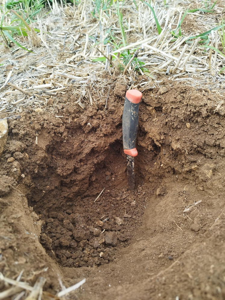 L'évaluation de la fertilité des sols nécessite la mesure de différents indicateurs : observation de la structure du sol, analyse de terre chimique...