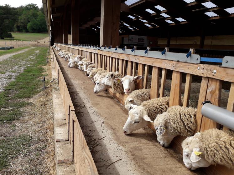 De nombreuses interventions peuvent être réalisées aux cornadis 