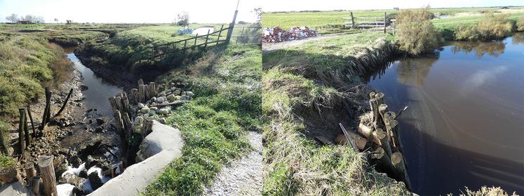 Pour Maxime Goubon, l'entretien des ouvrages de protection a joué dans l'ampleur de la submersion ; certains sont maintenus en bon état (à gauche), d'autres menacent de s'effondrer (à droite).