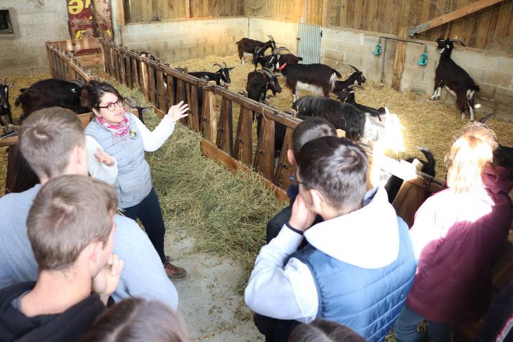 "L'exploitation doit être modulable et permettre de s'adapter", a résumé l'éleveuse Ophélie Michelet.