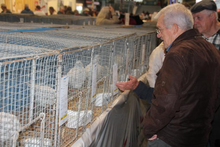 Volailles Ferme s'Invite