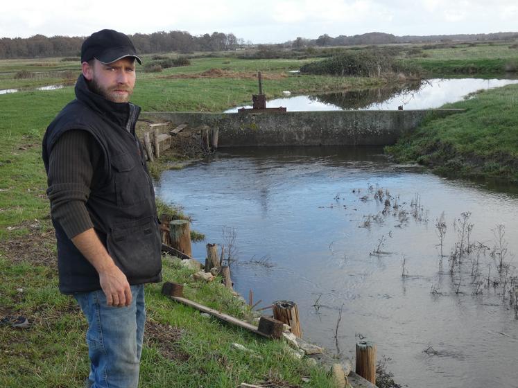 Dans le marais de l'estuaire de la Seudre, les précipitations et les vents conjugués aux fortes marées ont fait passer l'eau salée par-dessus les digues et portes qui la séparent de l'eau douce, explique Maxime Goubon.