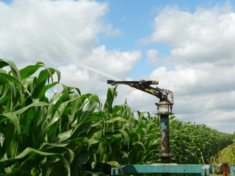 L'irrigation permet de sécuriser une partie de la production dans des filières spécialisées à forte valeur ajoutée, comme celle du maïs pop-corn de Sphère Production.