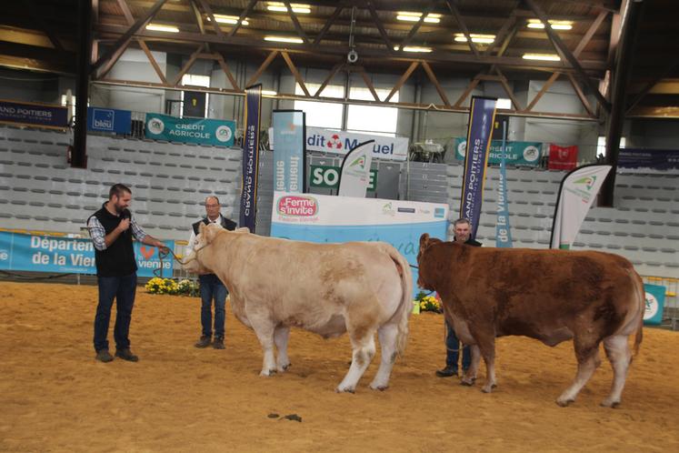 Label Rouge Limousine Charolaise Ferme s'Invite