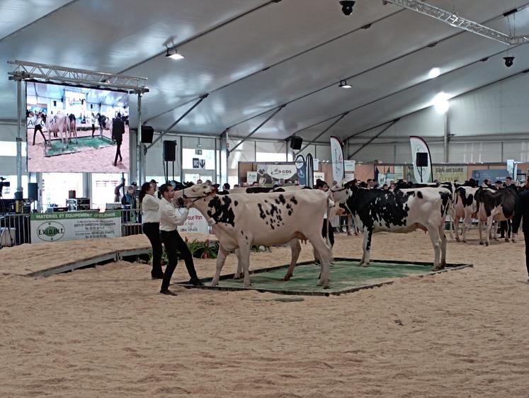 Au programme de ces trois jours : de nombreux concours et des présentations d'animaux.