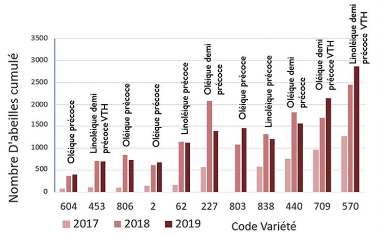 Cumuls des butineuses mesurés sur les différentes variétés et leurs caractéristiques, pour chacune des trois années d'expérimentation (Projet Apitou, 2017-2019 ; source : Cerruti, 2019).