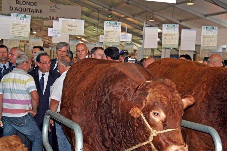 François Hollande, lors de sa visite au Sommet de l'élevage 2013.