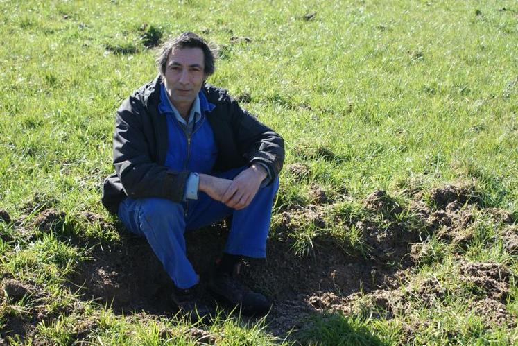Jean-François Boulesteix, éleveur allaitant à Brigueuil, carrément assis dans une cuvette creusée par des sangliers en quête de nourriture (vers de terre).