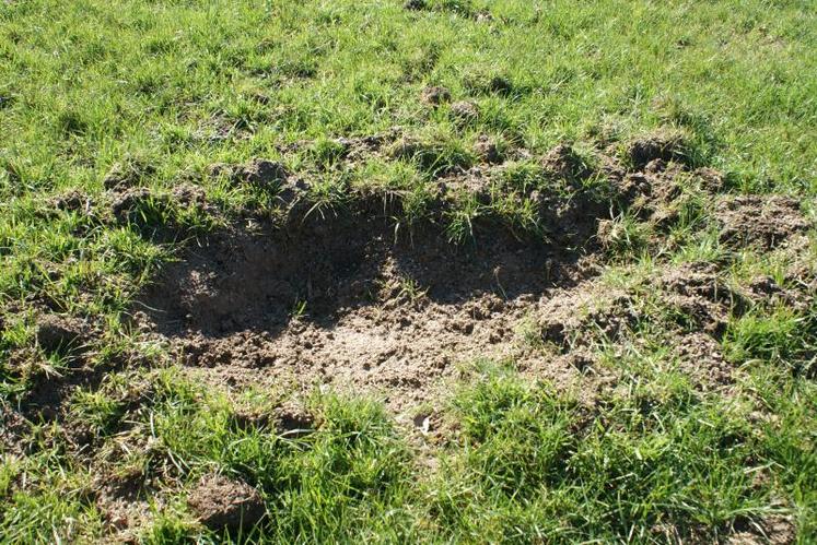 Des trous d'une taille impressionnante, pour lesquels les agriculteurs cherchent à se faire indemniser.