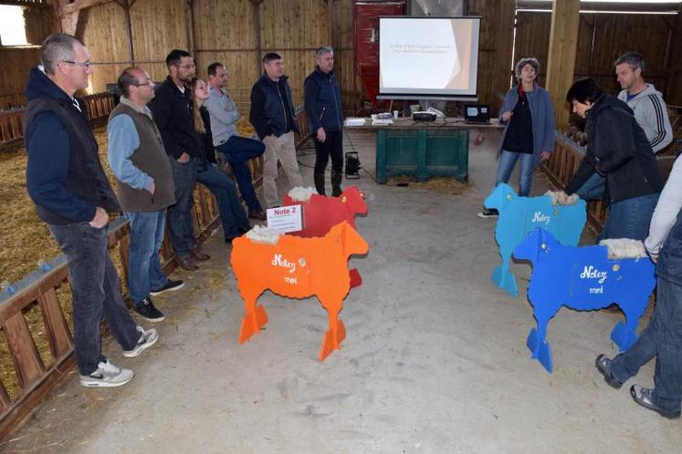 Les notes d’état corporel s’échelonnent de 1, brebis postiche orange, à 4, brebis postiche bleue foncée.