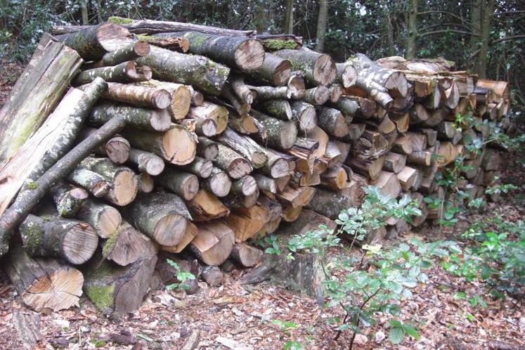 Un  quart de la récolte de bois régionale est destiné à la production d’énergie.