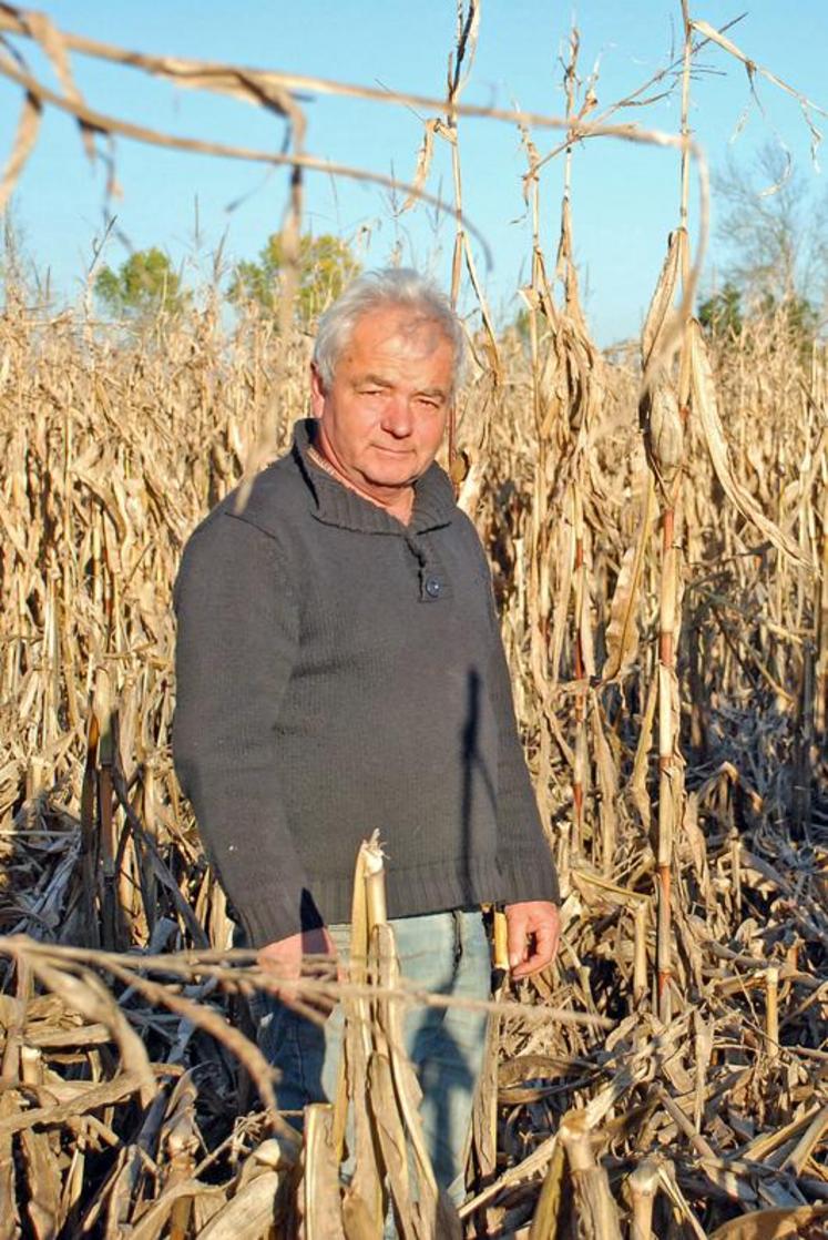 Patrice Deschamps, à la tête de l'ETA qui intervenait début novembre sur l'exploitation de Jean-Luc Bourreau. L'humidité des sols nécessitait l'utilisation d'une moissonneuse équipée de chenilles.