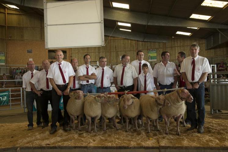Les concours d'animaux avaient, comme à chaque édition, rythmé le Festival de l'élevage et de la gastronomie en 2013. (Photo d'archives)