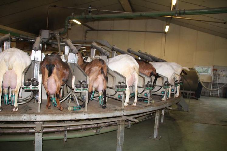 En faisant contrôler sa machine tous les ans plutôt que tous 
les trois ans, l’étude a révélé un écart de 120 000 cellules/ml.