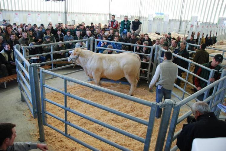 De nouvelles installations pour faciliter la vente mais aussi utilisées à des fins pédagogiques.