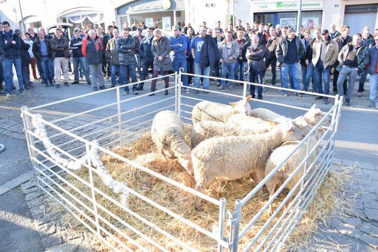 Agriculteurs et élus du territoire sont mobilisés. À l’assemblée départementale comme au conseil régional, des notions en faveur du maintien des zones défavorisées ont été votées en début de semaine.