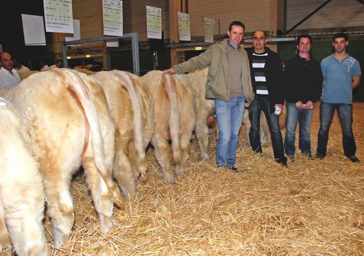 Eric Baudin, Mickaël Caillaud Christophe Hay et Florian Brossard ont jugé les animaux avec leur regard d'éleveur. Ce jury naissseur engraisseur a sélectionné Goteborg, l'animal qu'ils aimeraient posséder.
