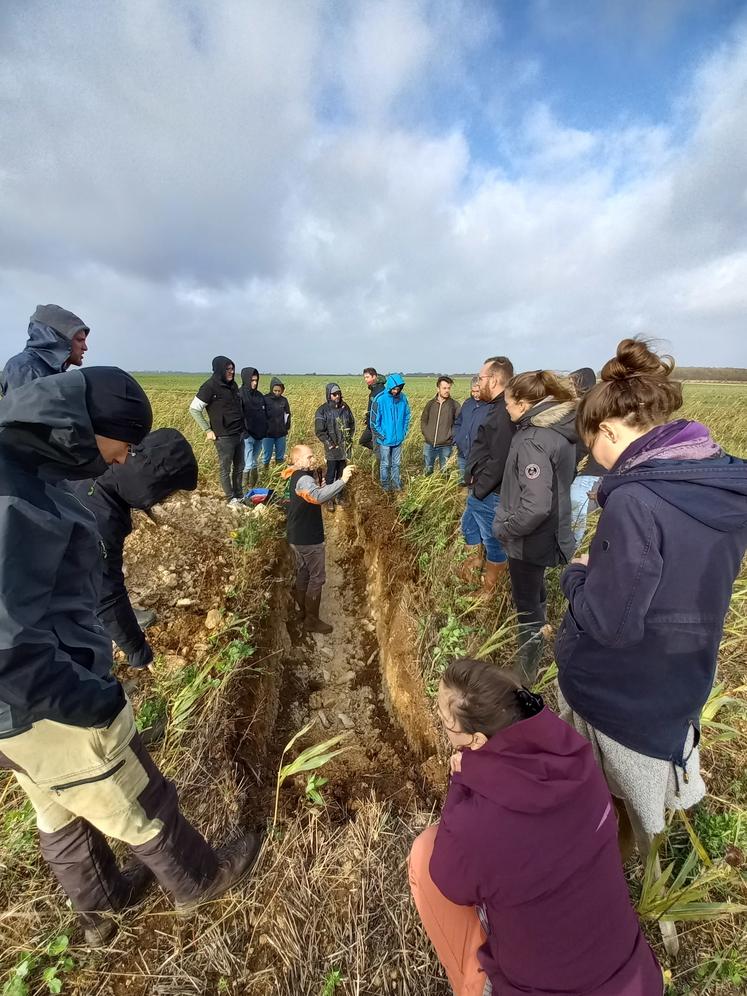 Autour de la fosse pédologique, les participants constatent que la croûte de battance s'est estompée jusqu'à ne plus représenter de gêne pour l'exploitant.