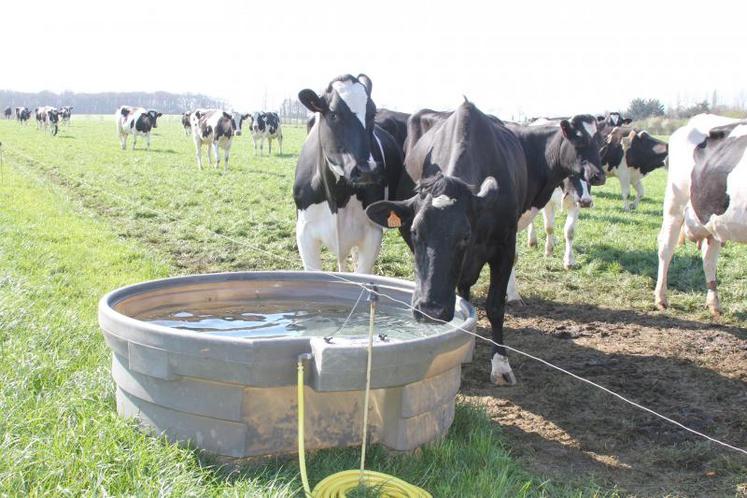 Des études montrent une augmentation des quantités de lait produites dans les exploitations qui aménagent des points abreuvement.
