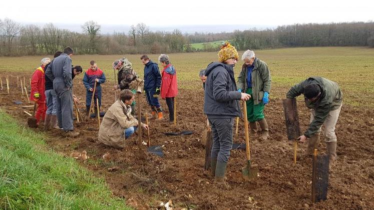 Une trentaine de bénévoles et citoyens ont participé à la plantation d’une haie champêtre.