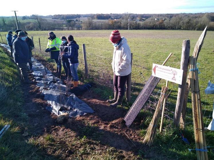 Une démonstration a été organisée sur la plantation de M. Delorme, au lieu-dit le Four à Chaux.