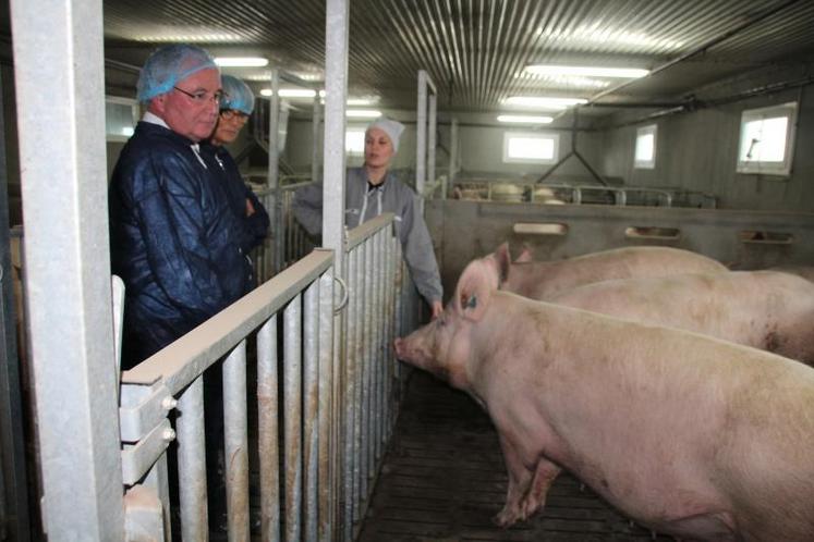 Céline Sergent a fait visiter son exploitation porcine d’Antran à Véronique Massonneau, Jean-Michel Clément. Alain Pichon et Jean-Olivier Geoffroy étaient également présents.