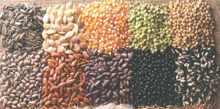 Les semences françaises se placent au premier rang européen.