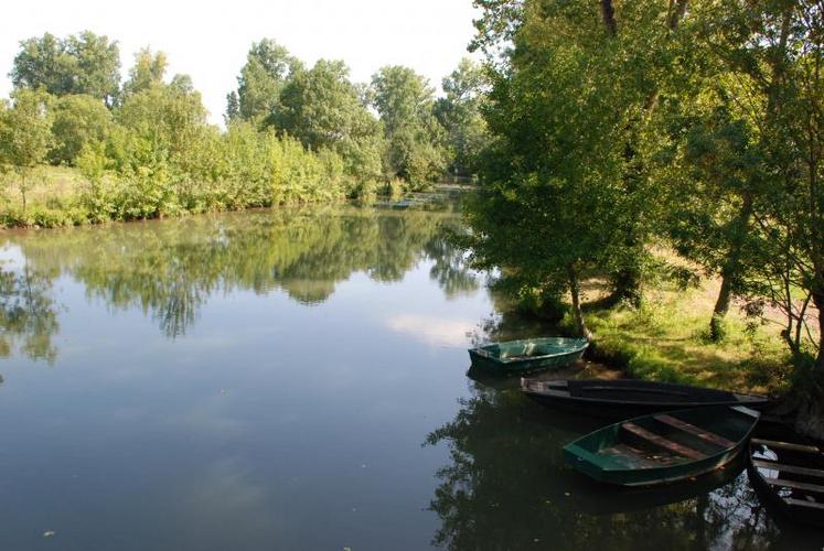 Selon la FDSEA, le projet de SDAGE donne une place trop importante à l’environnement au détriment de l’économie agricole.