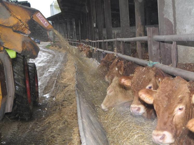 L’alimentation animale pèse 40% à 60% du coût de production final des éleveurs.