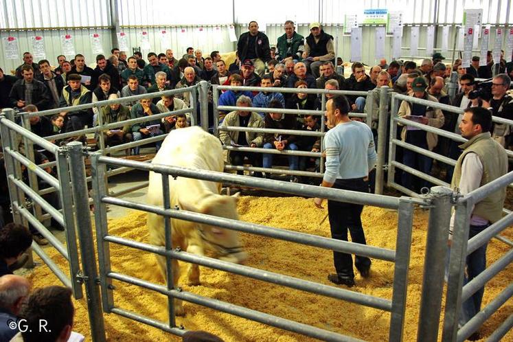 La vente aux enchères du 8 septembre a remporté un vif succès.