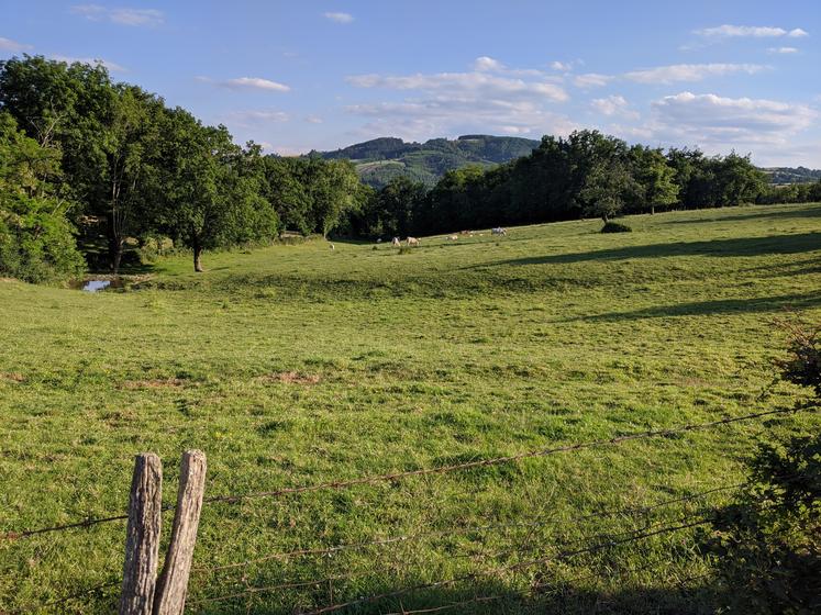 Encore mal connu, l’albédo, qui quantifie la part de lumière réfléchie par les surfaces, est un levier pour limiter une partie des impacts du réchauffement. Les prairies pourraient en être les principales pourvoyeuses.