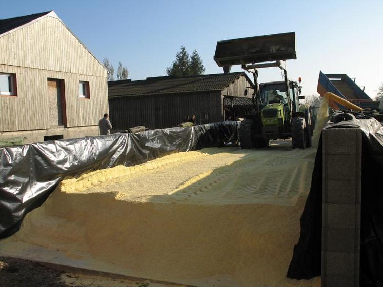 Le silo couloir doit permettre un désilage frontal journalier de 5 à 10 cm d’épaisseur.